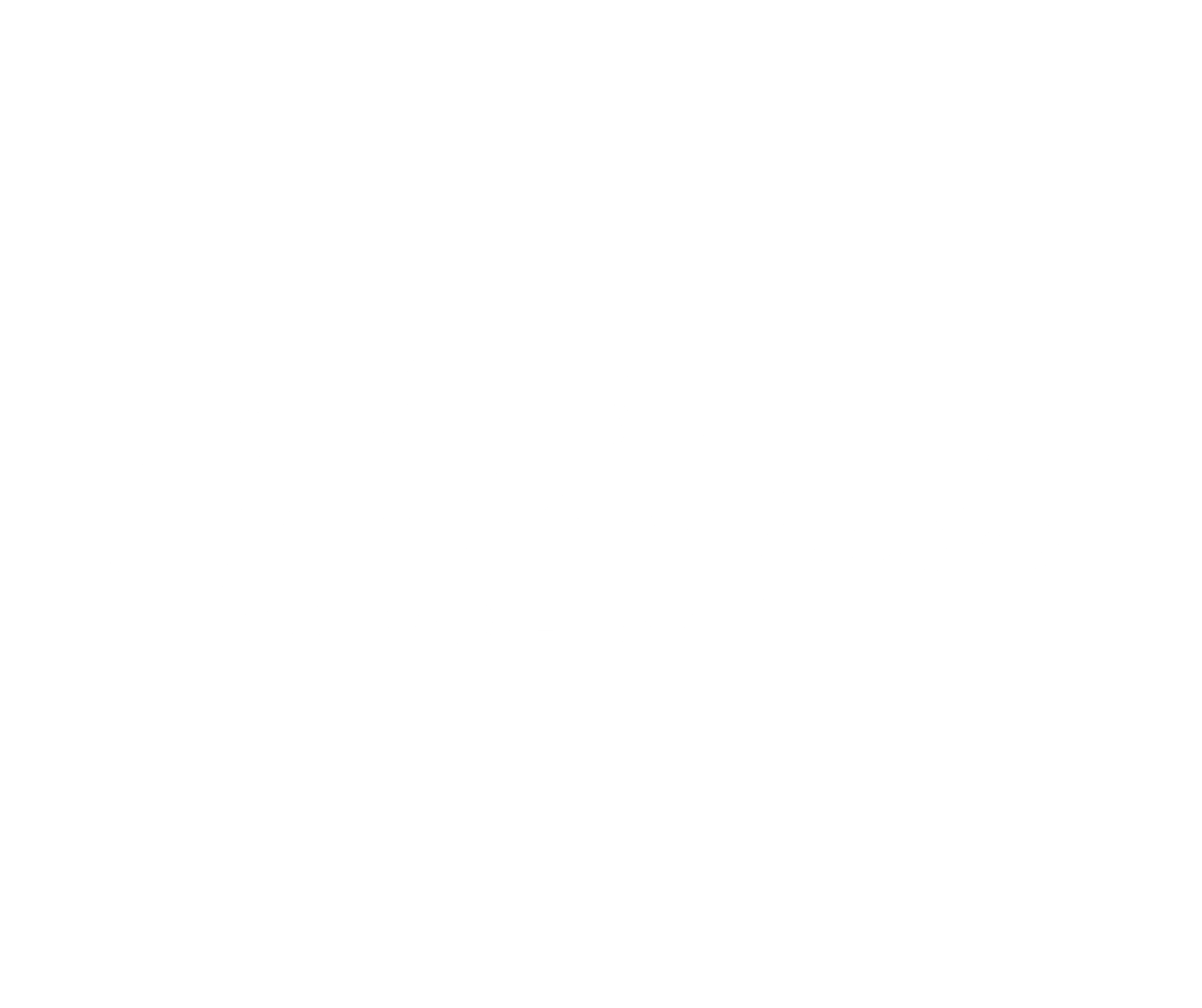 Gabriela Tudor Logo